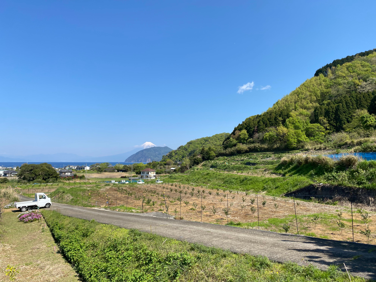 青木ファーム