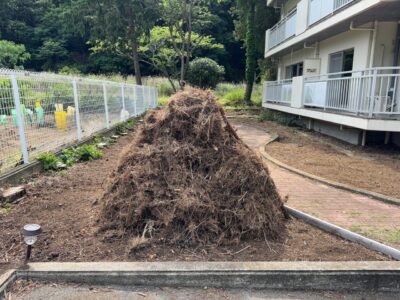 社宅